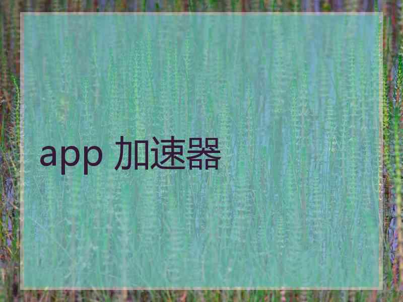 app 加速器