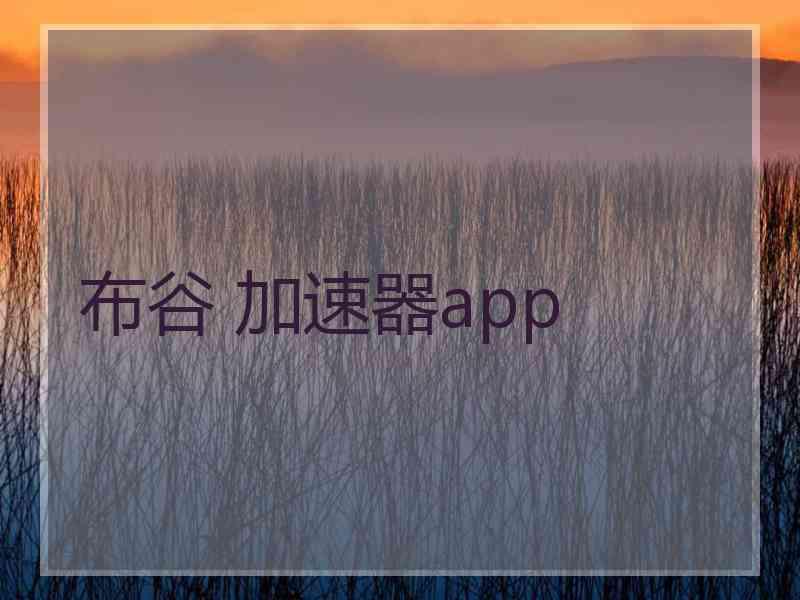 布谷 加速器app