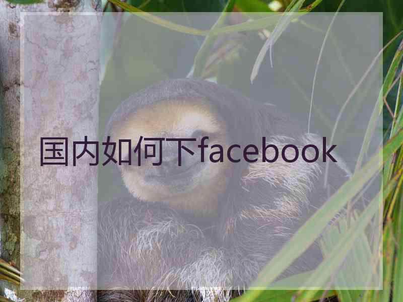 国内如何下facebook