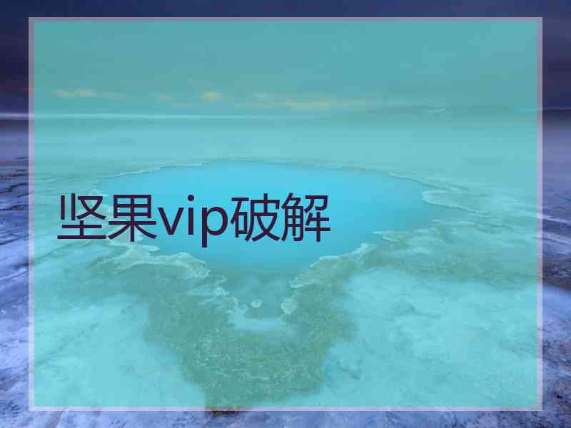 坚果vip破解