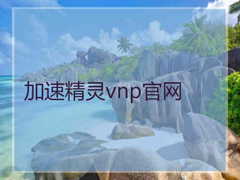 加速精灵vnp官网