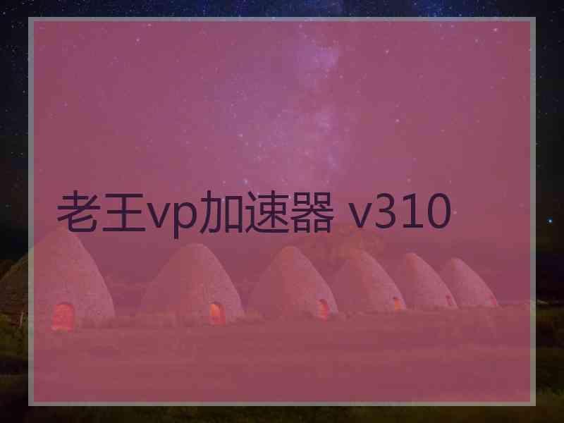 老王vp加速器 v310