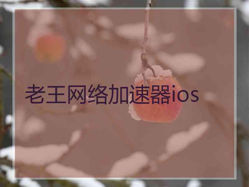 老王网络加速器ios