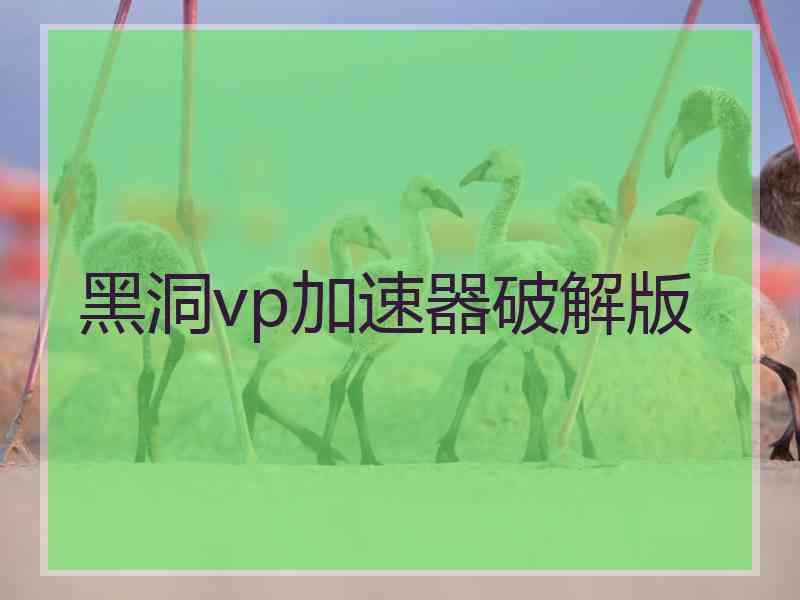 黑洞vp加速器破解版