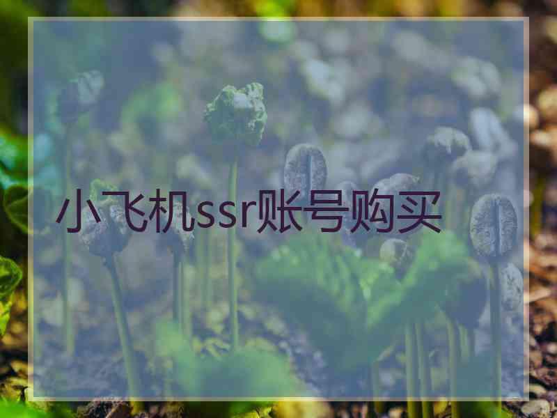 小飞机ssr账号购买