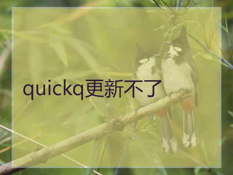 quickq更新不了