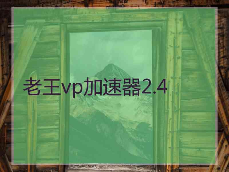 老王vp加速器2.4