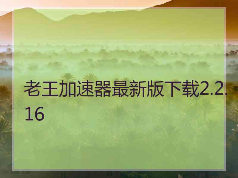 老王加速器最新版下载2.2.16