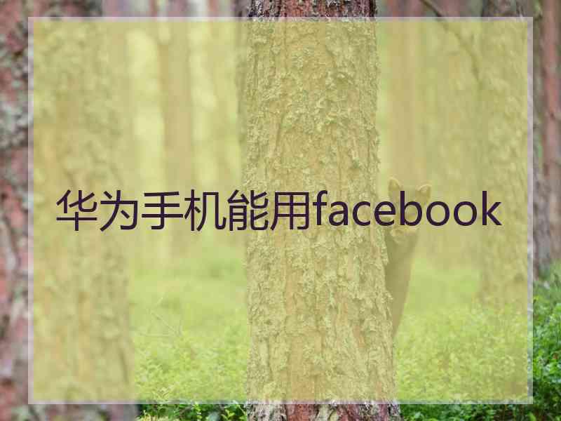 华为手机能用facebook