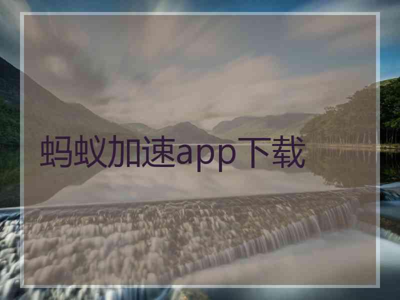 蚂蚁加速app下载