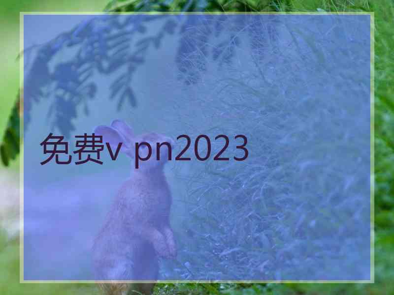 免费v pn2023