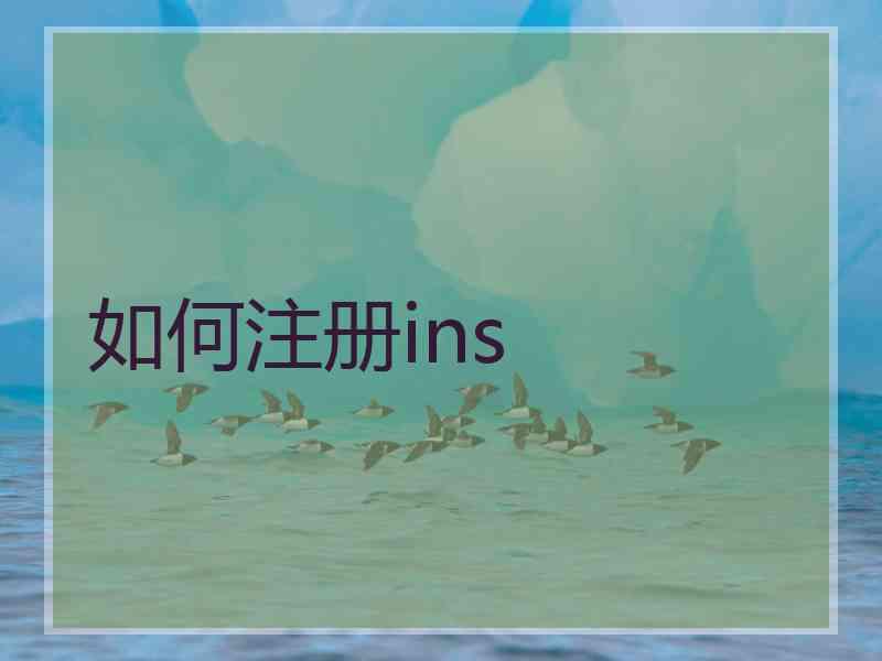 如何注册ins