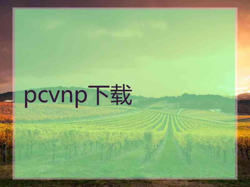 pcvnp下载