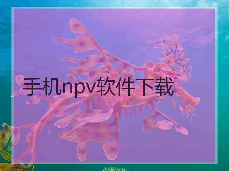 手机npv软件下载