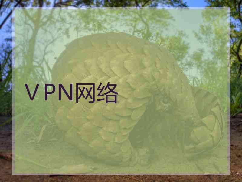 ⅤPN网络