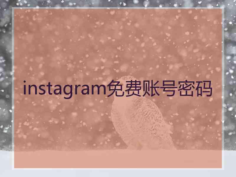 instagram免费账号密码