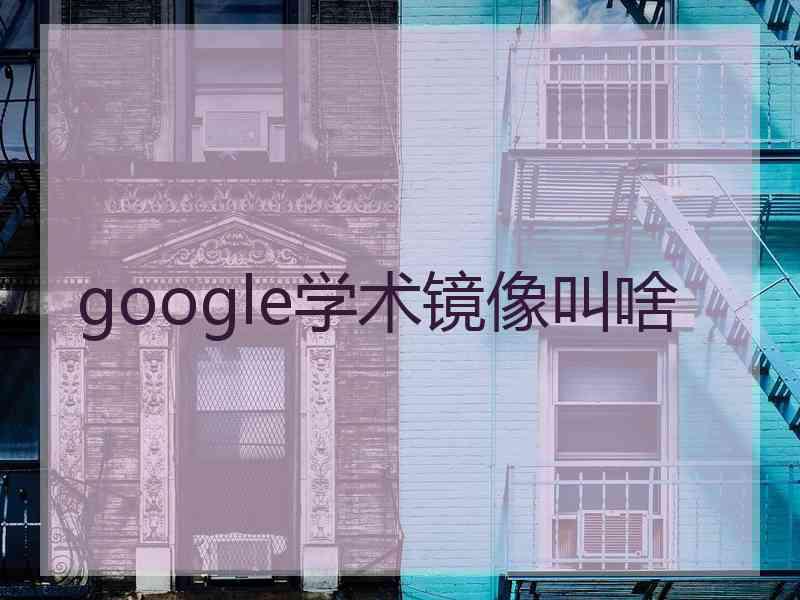 google学术镜像叫啥