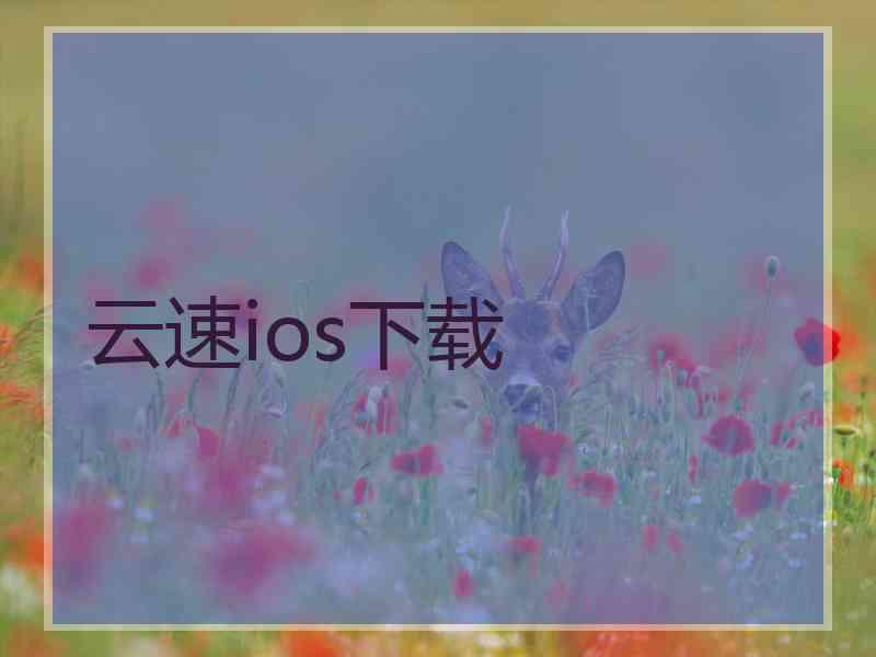 云速ios下载