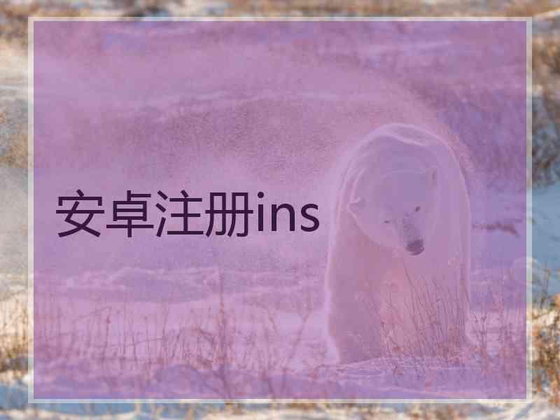 安卓注册ins