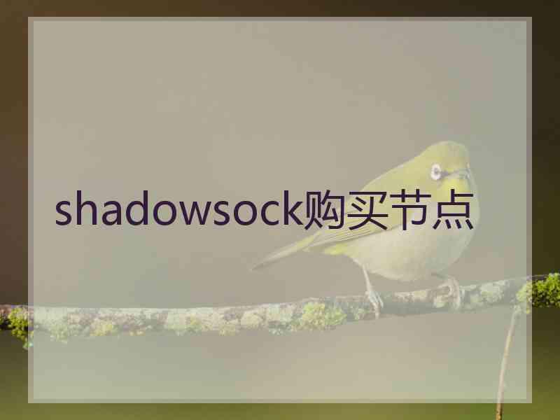 shadowsock购买节点