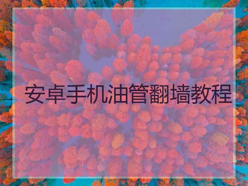 安卓手机油管翻墙教程