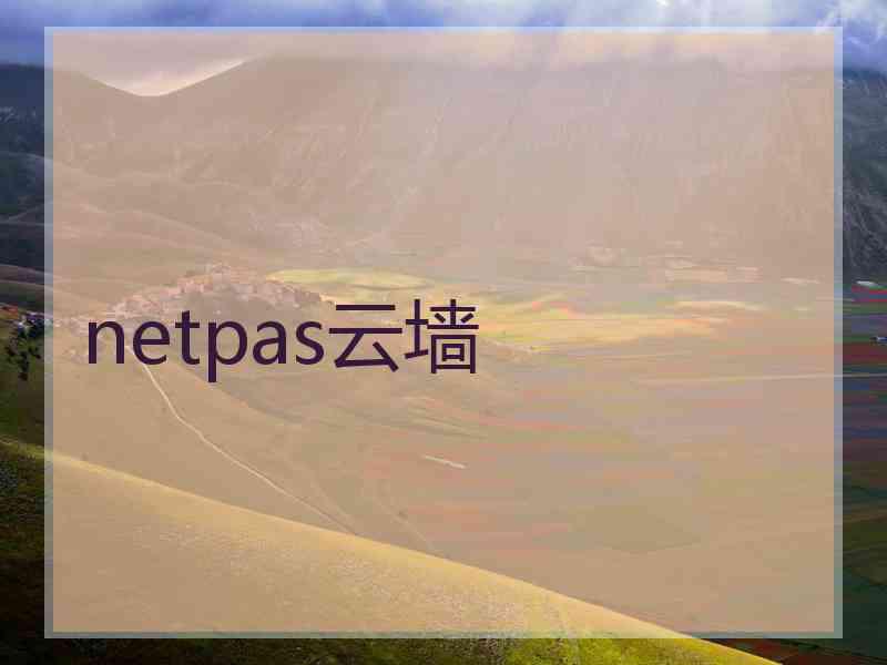 netpas云墙