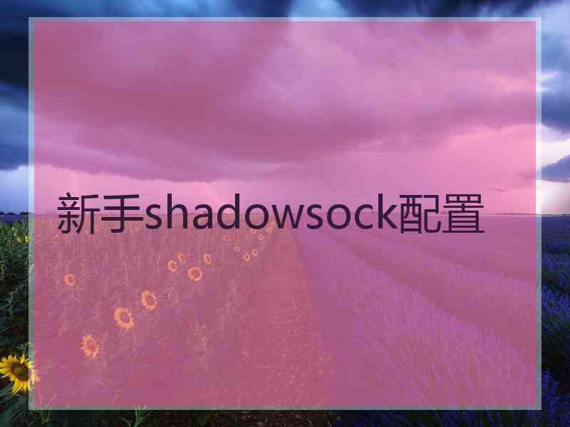 新手shadowsock配置