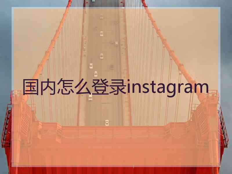 国内怎么登录instagram