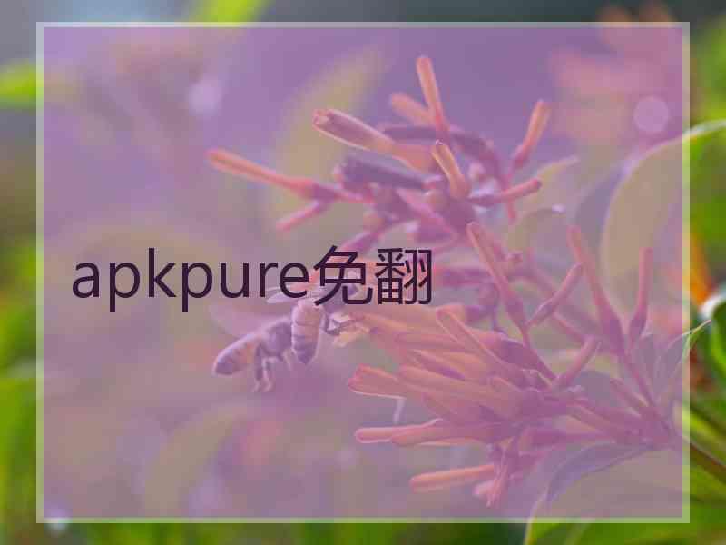 apkpure免翻