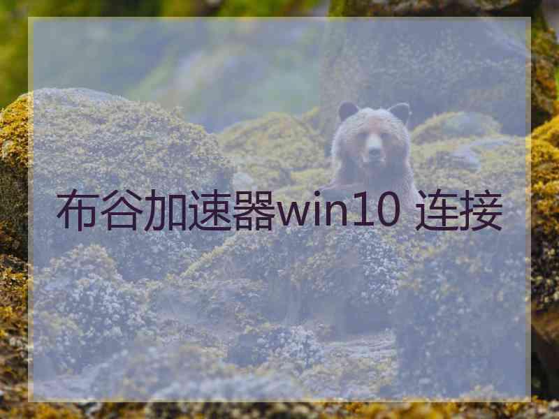 布谷加速器win10 连接