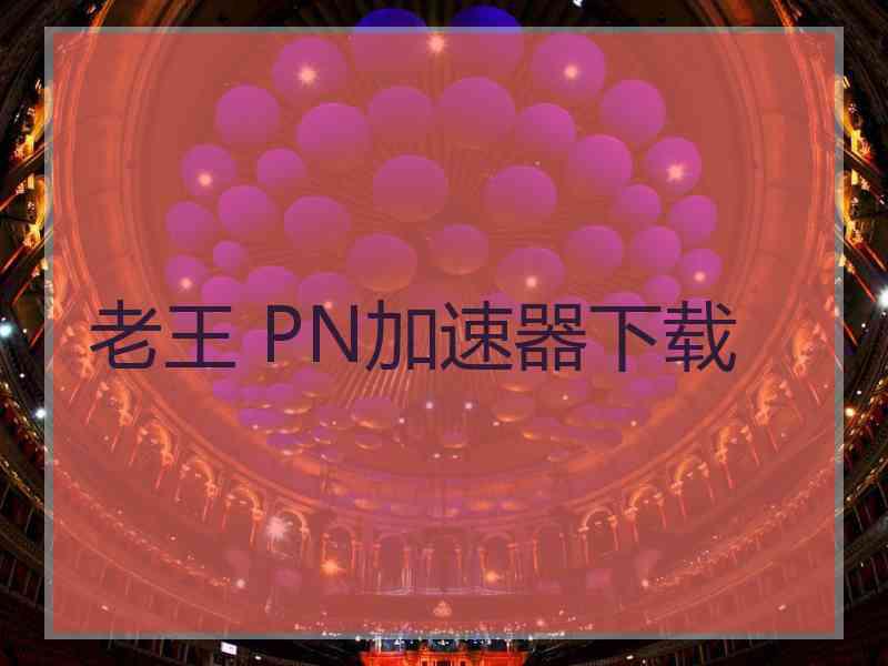 老王 PN加速器下载