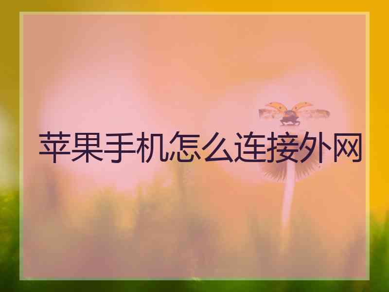 苹果手机怎么连接外网