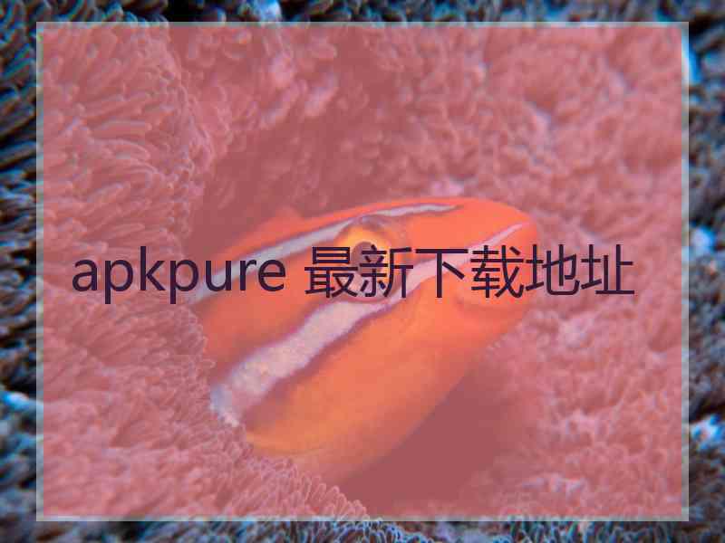 apkpure 最新下载地址