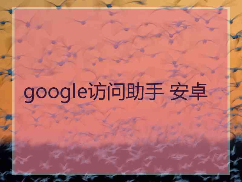 google访问助手 安卓