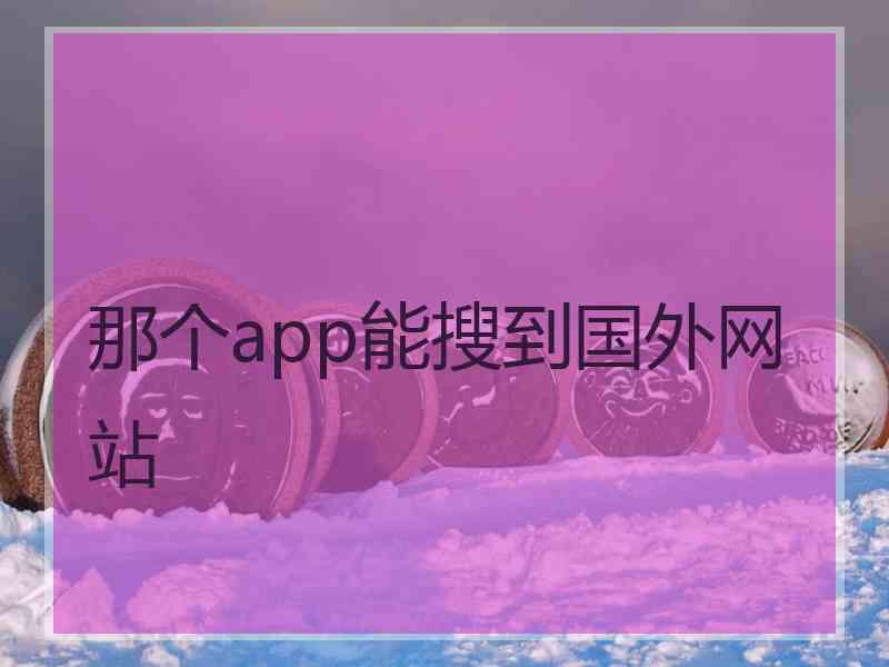 那个app能搜到国外网站