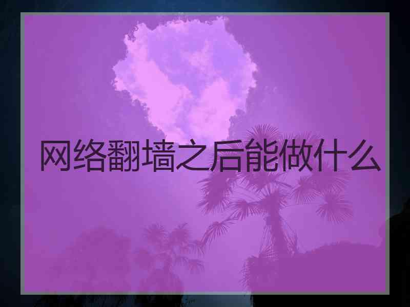 网络翻墙之后能做什么