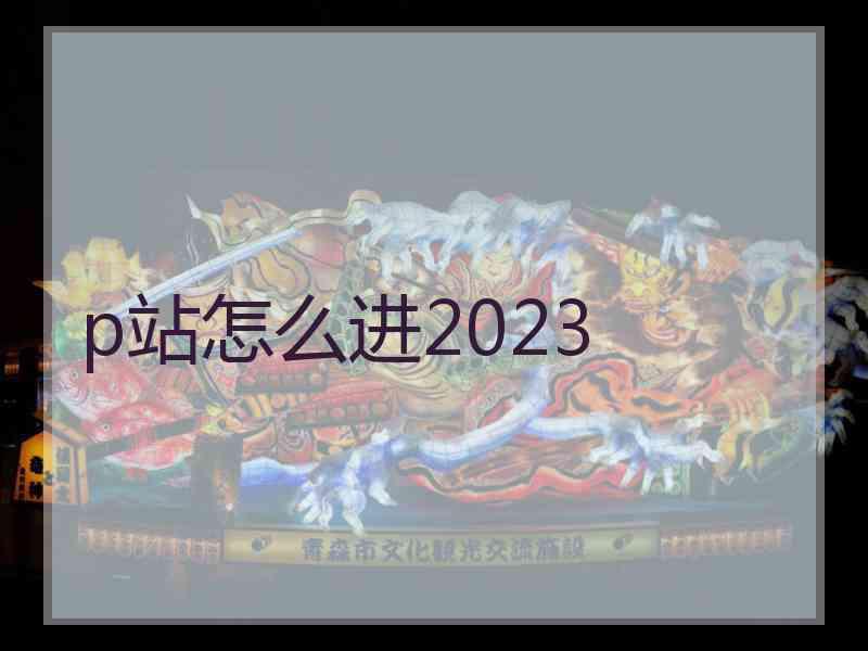 p站怎么进2023