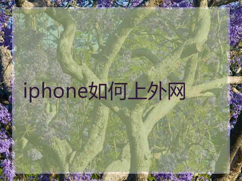 iphone如何上外网