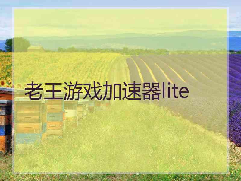 老王游戏加速器lite