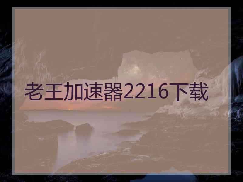 老王加速器2216下载