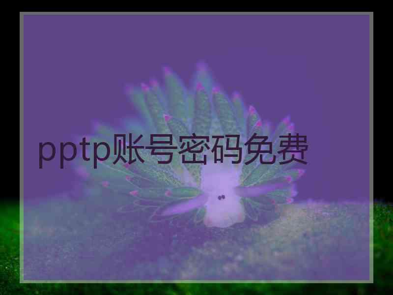 pptp账号密码免费