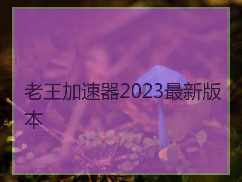 老王加速器2023最新版本