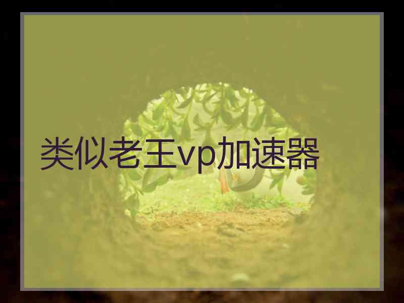 类似老王vp加速器