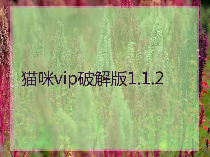 猫咪vip破解版1.1.2