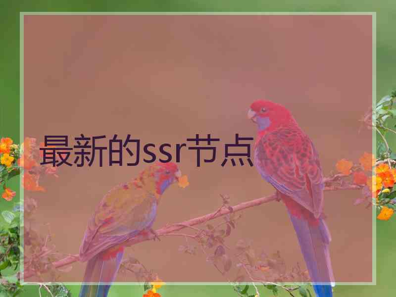 最新的ssr节点