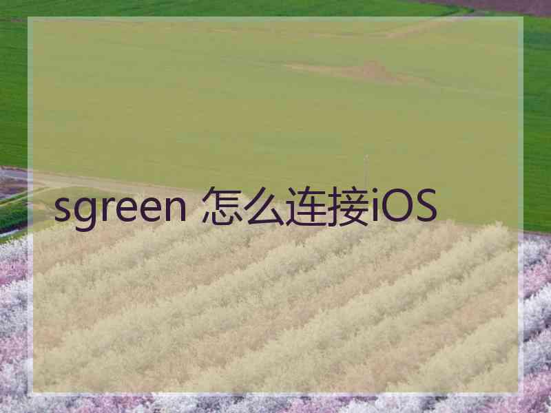 sgreen 怎么连接iOS