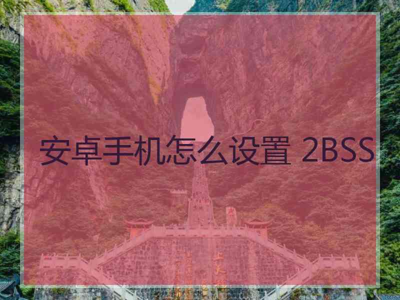 安卓手机怎么设置 2BSS