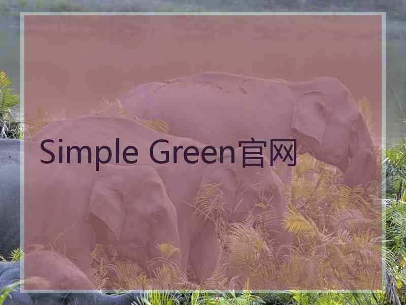 Simple Green官网