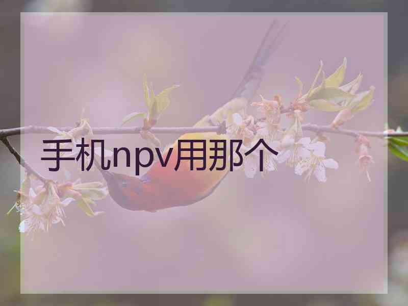 手机npv用那个