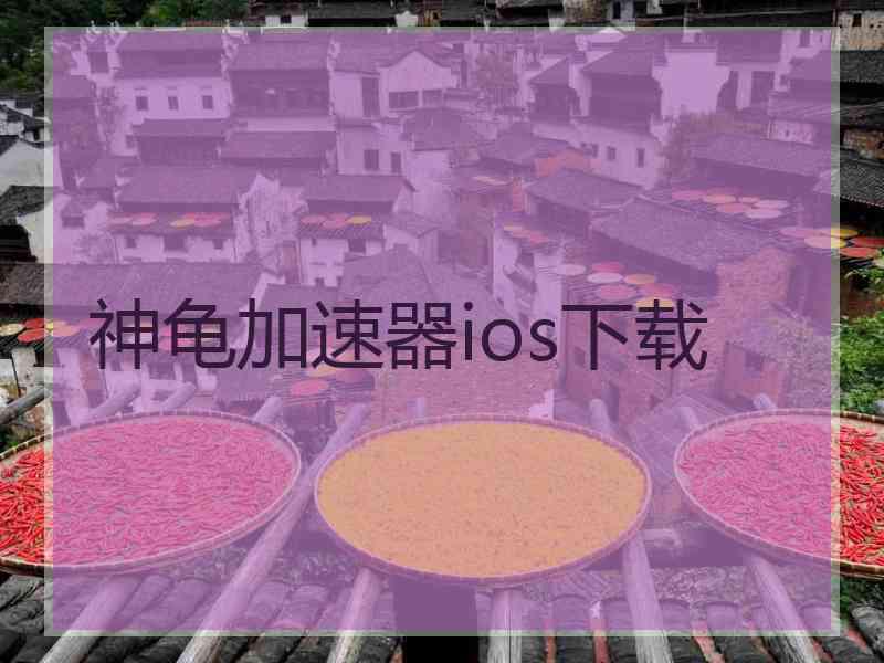 神龟加速器ios下载